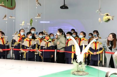 文博創(chuàng)新，IP出圈 看江蘇鹽城如何讓城市文化“活”起來(lái)